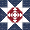 Little Blocks America - Block of the Week