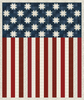 American Valor Fabric Panel