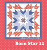 Barn Star Block of the Month