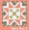 Barn Star Block of the Month