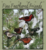 Fine Feathered Friends Pattern