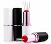 Lipstick Needle and Pin Case